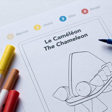 carte créative le caméléon